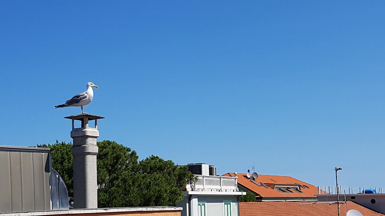 Hotel Le Pleiadi Bellaria – Igea Marina Kültér fotó